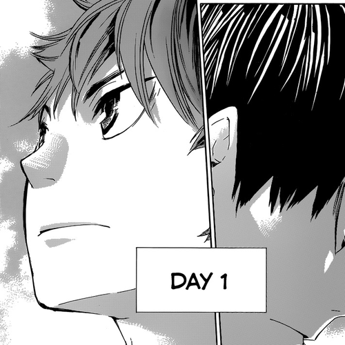 Haikyu!! Chapter 36: Ready to Fly cover