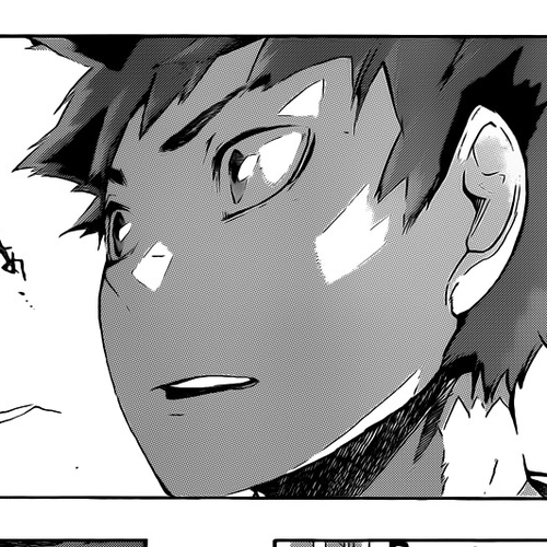 Haikyu!! Chapter 76: Creator cover