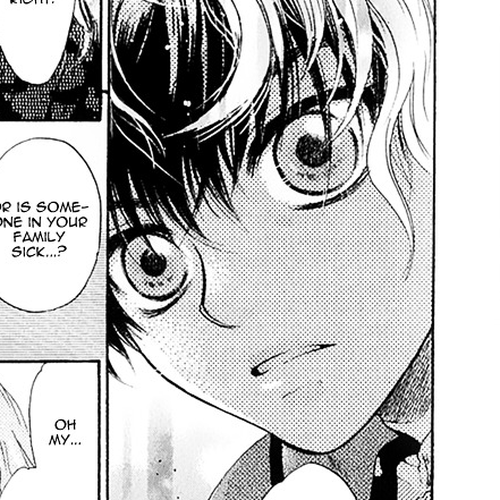 Hakkenden Chapter 14 : The Shadow cover