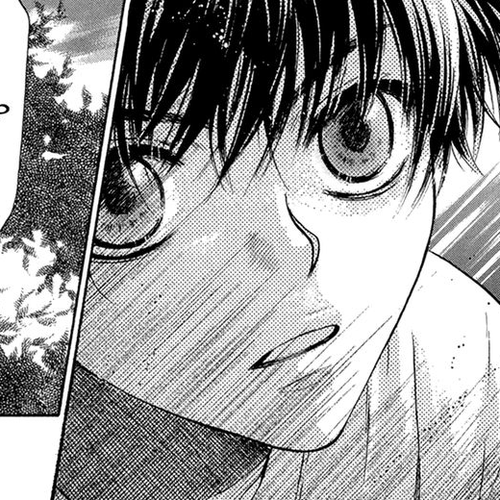 Hakkenden Chapter 22 cover