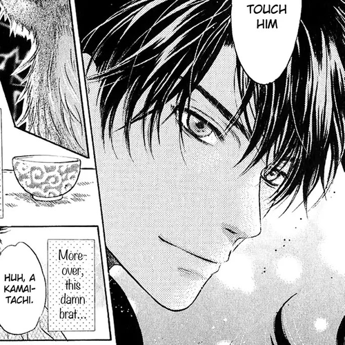 Hakkenden Chapter 27.5 cover