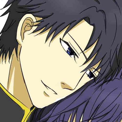 Hakkenden Chapter 30.5 cover