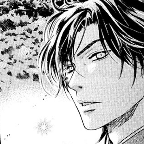 Hakkenden Chapter 37.5 cover