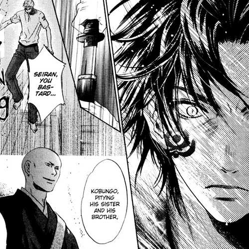 Hakkenden Chapter 8 : Brothers cover