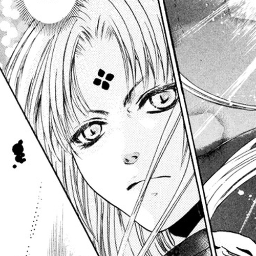 Hakkenden Chapter 9 : Serpent Possession + act 9.5: Person from Satomi Family cover