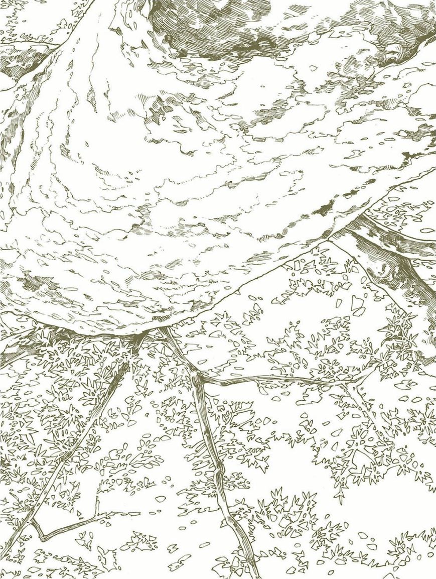 Hakumei to Mikochi Chapter 15.1 page 2 - Chapter 15.1 : A Very Long Day (I) The People of the Honey Home