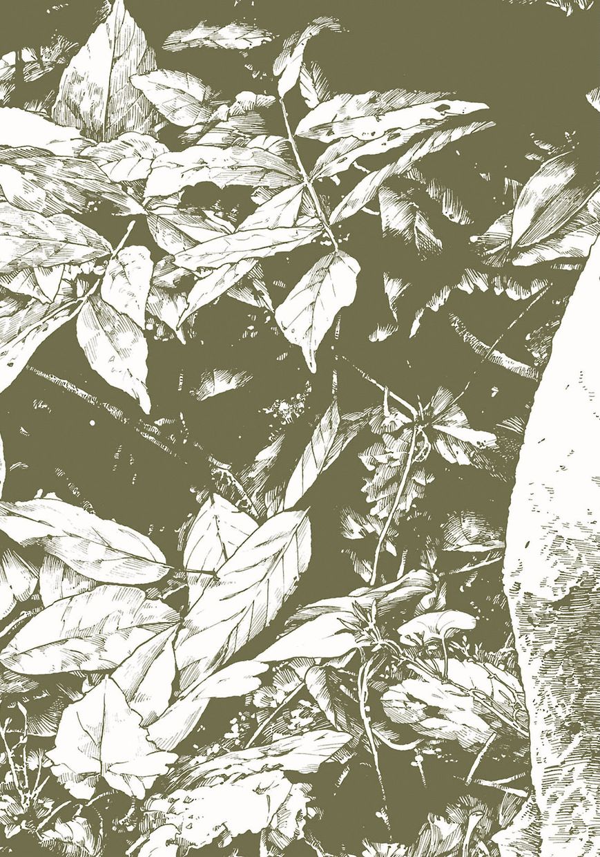 Hakumei to Mikochi Chapter 20.1 page 2 - Chapter 20.1 : Rhythm of the Deep (I) Silence and Noise
