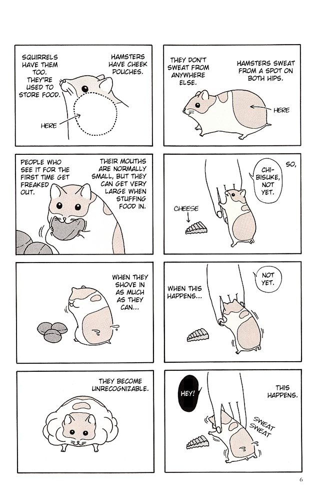 Hamster no Kenkyuu Report Chapter 1.2 page 10 - Chapter 1 v2 : Hamster Research Report 1