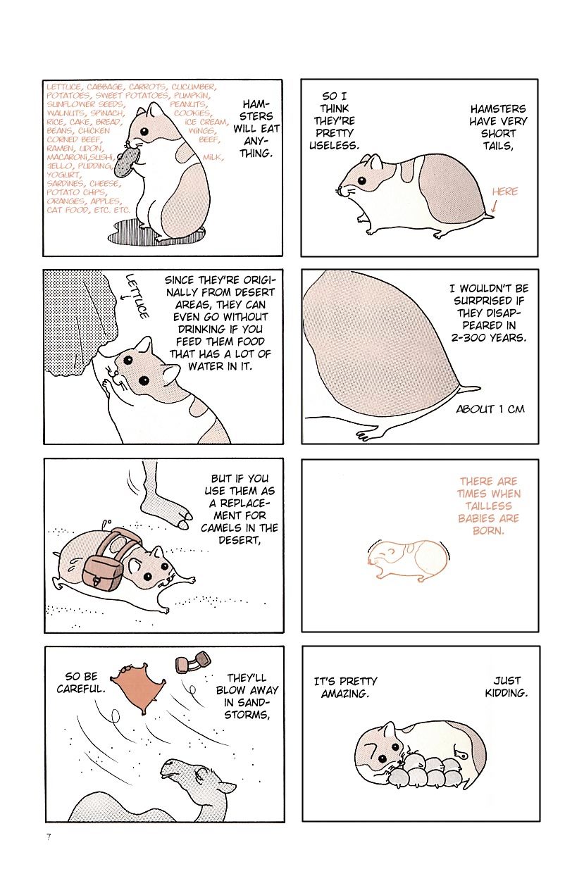 Hamster no Kenkyuu Report Chapter 1.2 page 11 - Chapter 1 v2 : Hamster Research Report 1