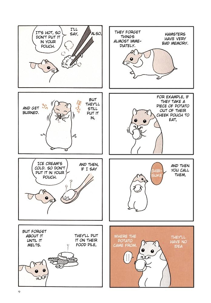 Hamster no Kenkyuu Report Chapter 1.2 page 13 - Chapter 1 v2 : Hamster Research Report 1