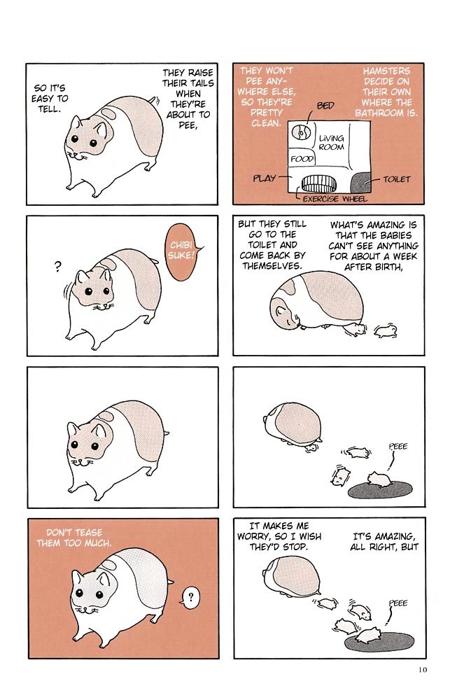 Hamster no Kenkyuu Report Chapter 1.2 page 14 - Chapter 1 v2 : Hamster Research Report 1