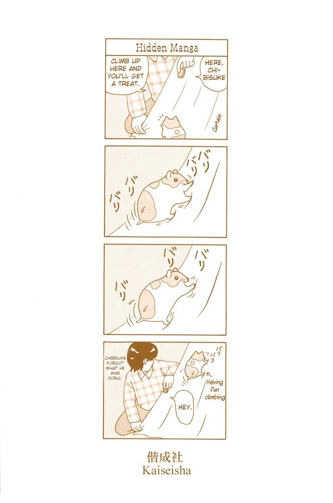 Hamster no Kenkyuu Report Chapter 1.2 page 4 - Chapter 1 v2 : Hamster Research Report 1