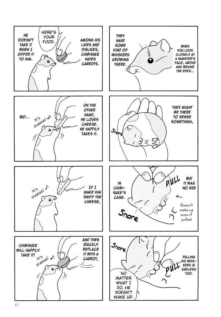Hamster no Kenkyuu Report Chapter 11.2 page 2 - Chapter 11 v2 : Report 20