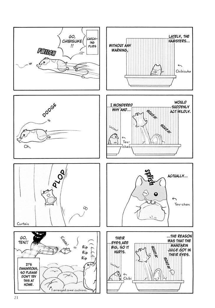 Hamster no Kenkyuu Report Chapter 13 page 2 - Chapter 13 : Report 22