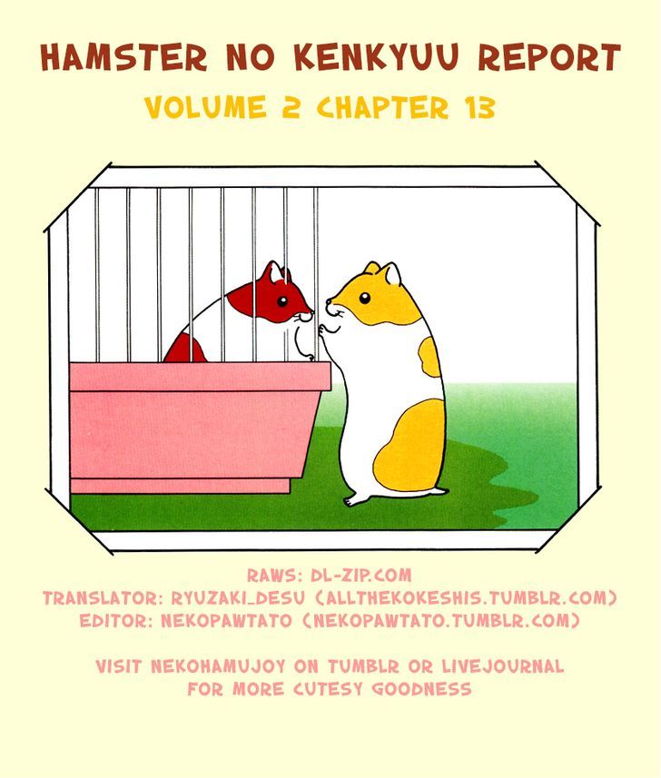 Hamster no Kenkyuu Report Chapter 13 page 4 - Chapter 13 : Report 22