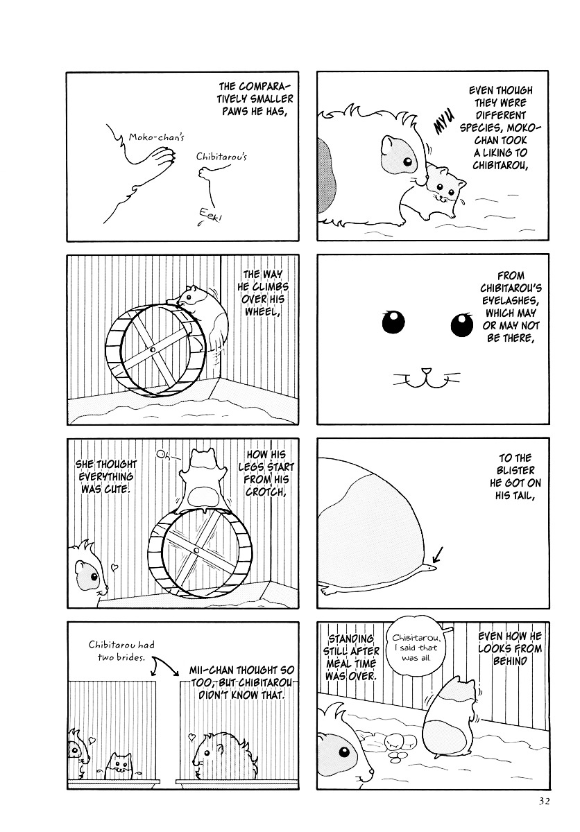 Hamster no Kenkyuu Report Chapter 15 page 2 - Chapter 15 : Chibitarou's Life 2