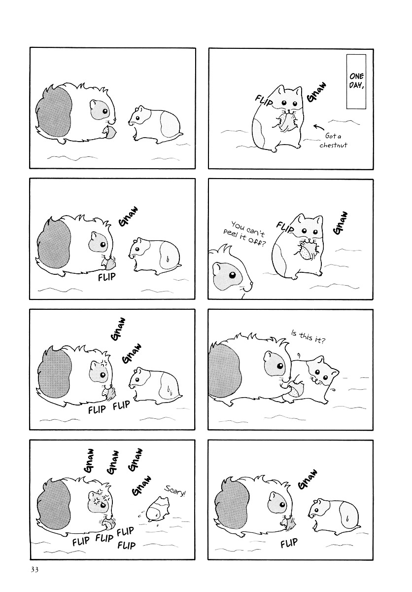 Hamster no Kenkyuu Report Chapter 15 page 3 - Chapter 15 : Chibitarou's Life 2