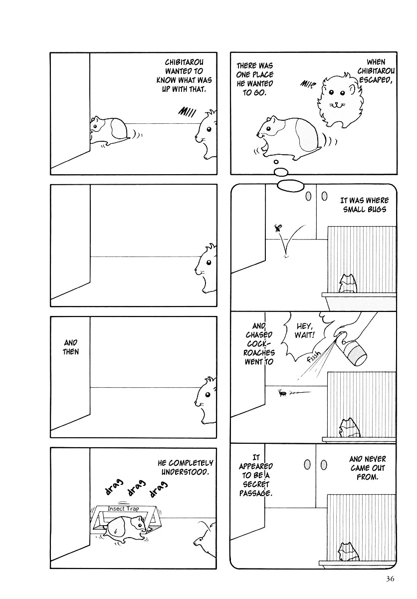 Hamster no Kenkyuu Report Chapter 15 page 6 - Chapter 15 : Chibitarou's Life 2