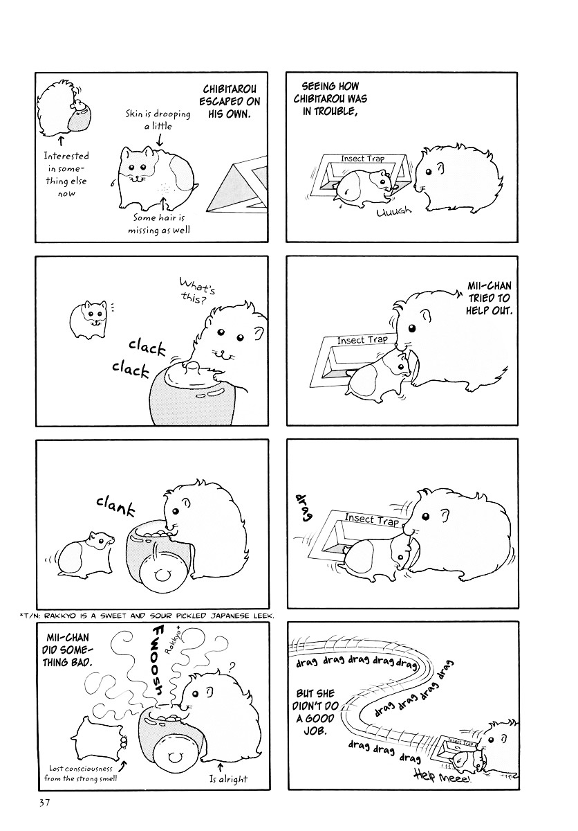 Hamster no Kenkyuu Report Chapter 15 page 7 - Chapter 15 : Chibitarou's Life 2
