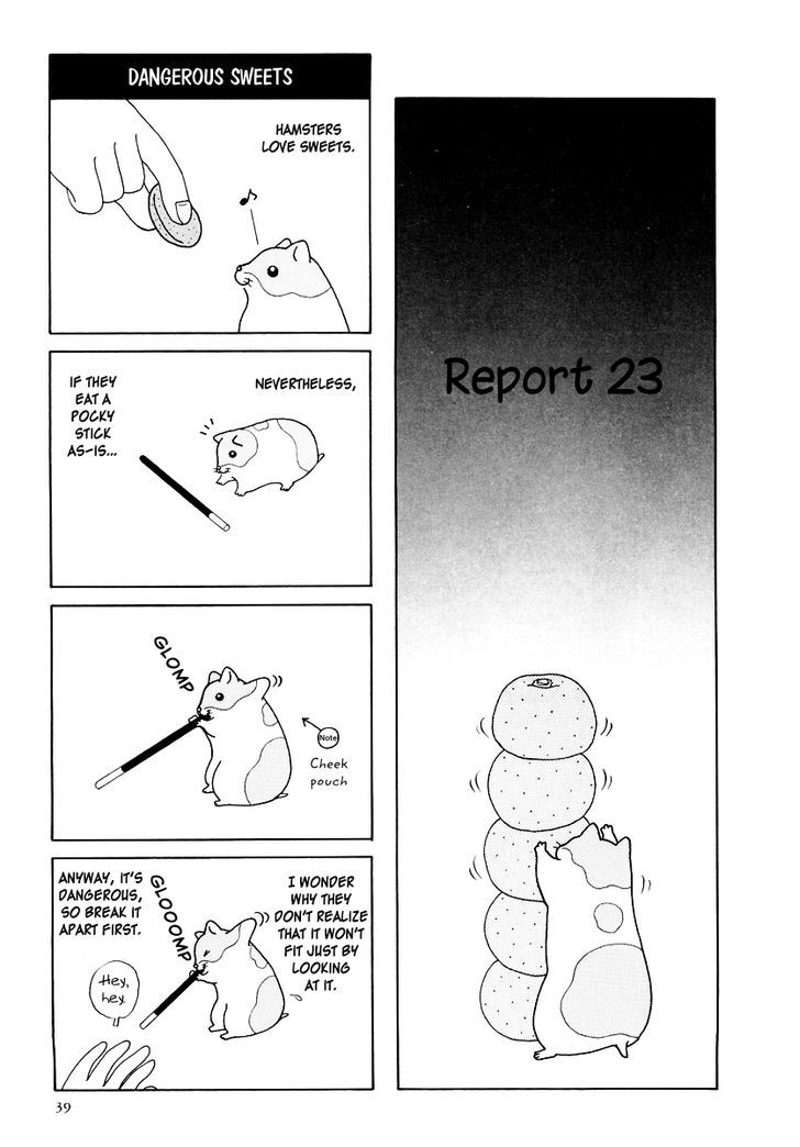 Hamster no Kenkyuu Report Chapter 16 page 1 - Chapter 16 : Report 23