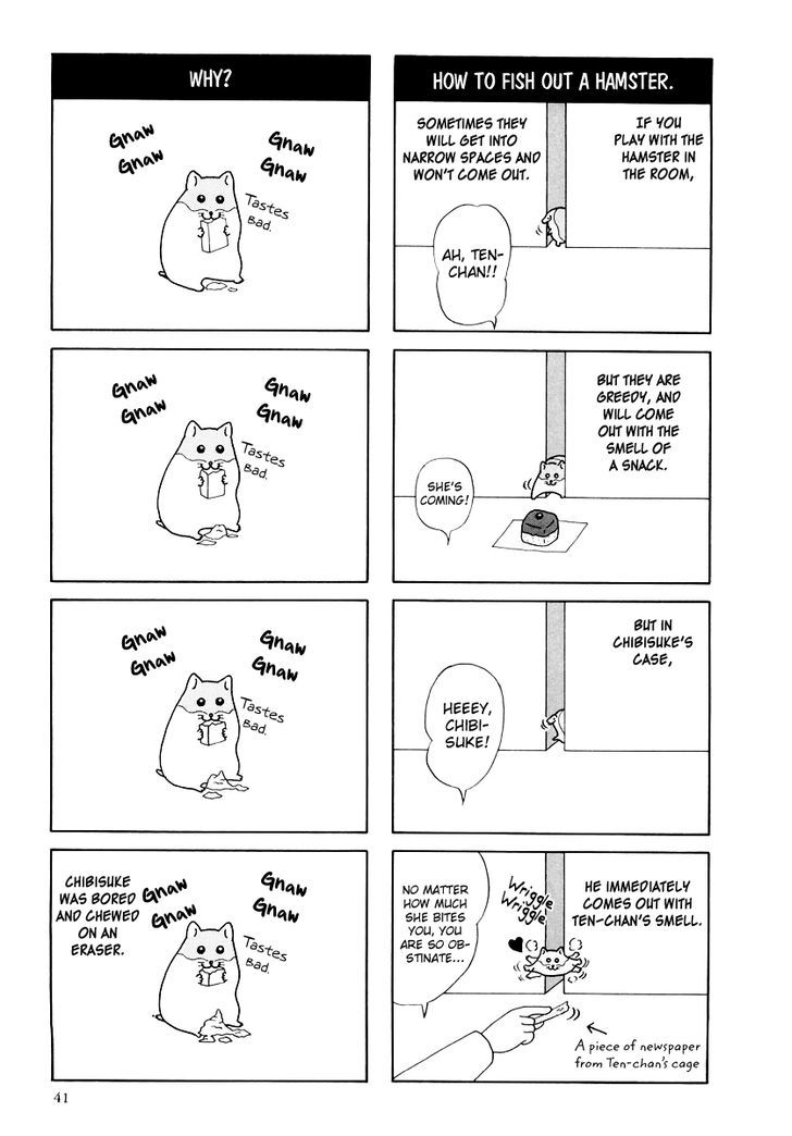 Hamster no Kenkyuu Report Chapter 16 page 3 - Chapter 16 : Report 23