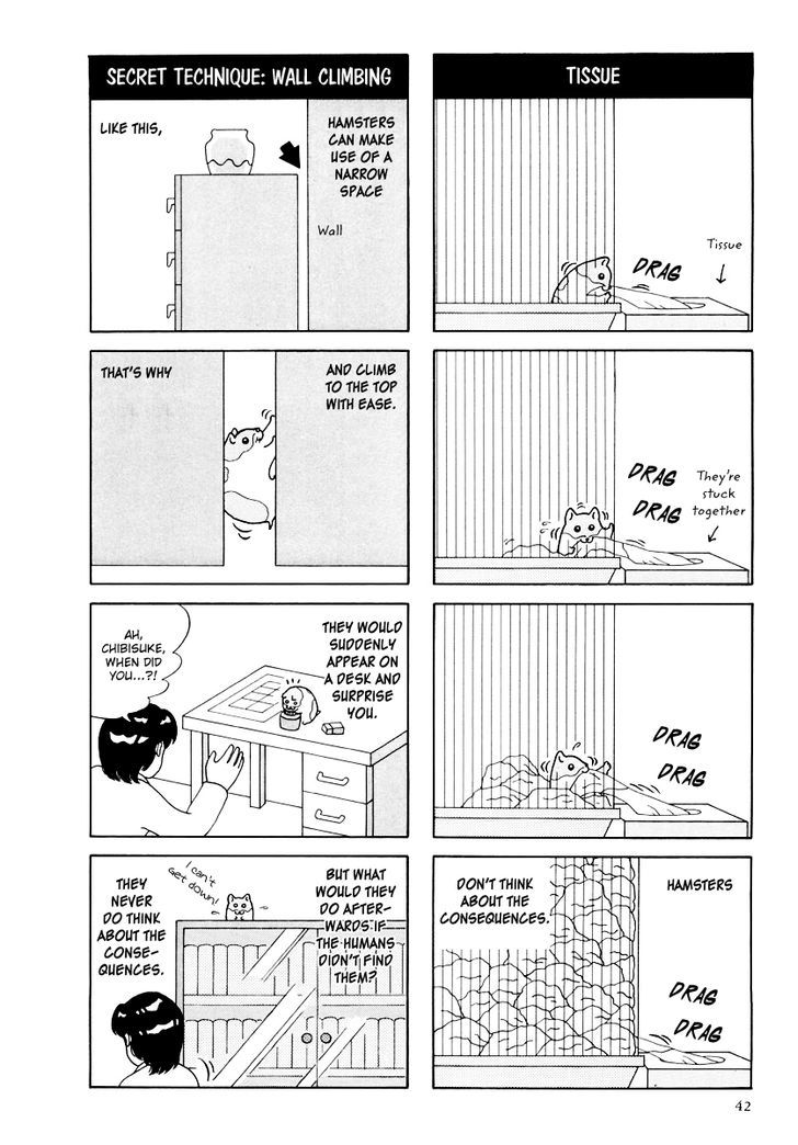 Hamster no Kenkyuu Report Chapter 16 page 4 - Chapter 16 : Report 23