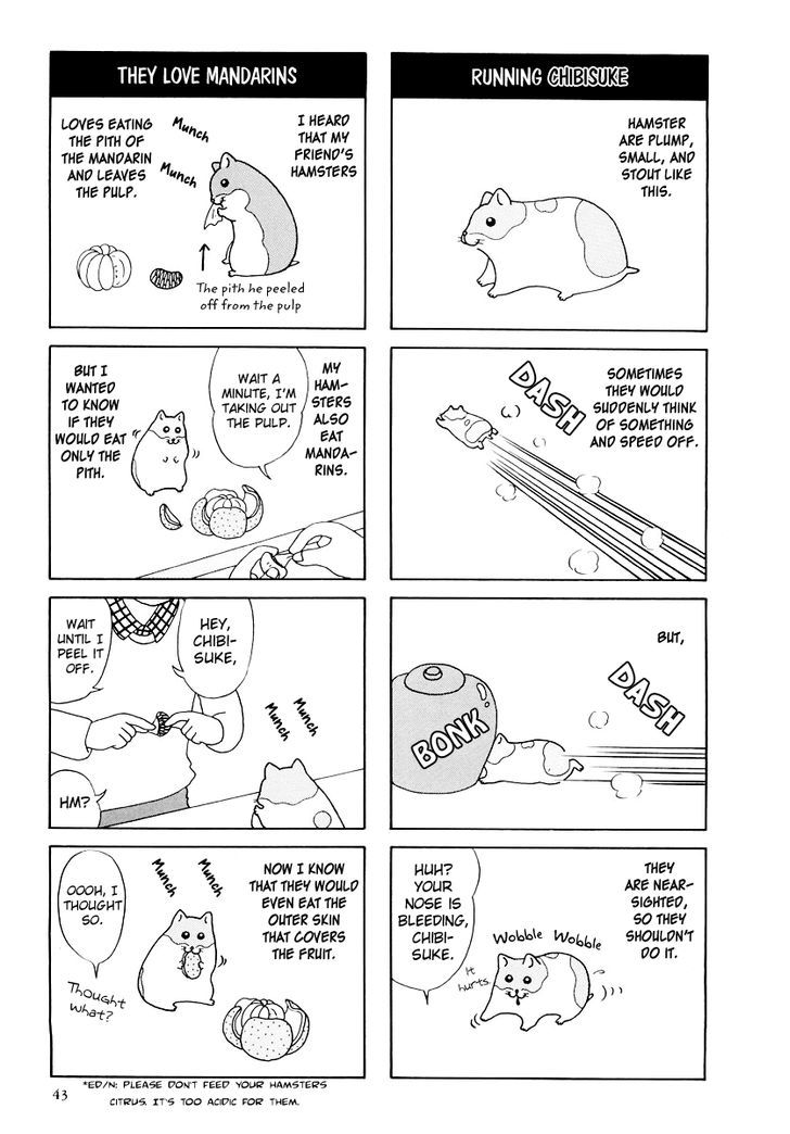 Hamster no Kenkyuu Report Chapter 16 page 5 - Chapter 16 : Report 23