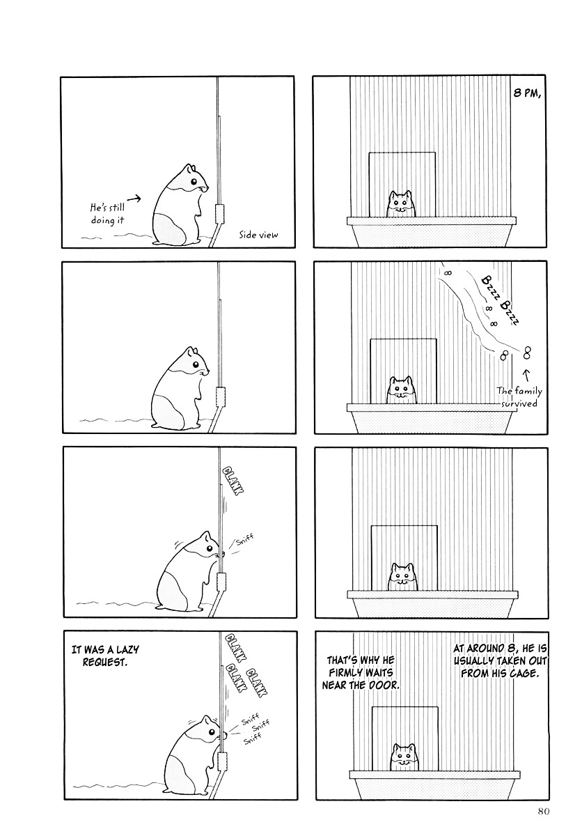 Hamster no Kenkyuu Report Chapter 19 page 10 - Chapter 19 : Report 24: A Moving Hamster's Story