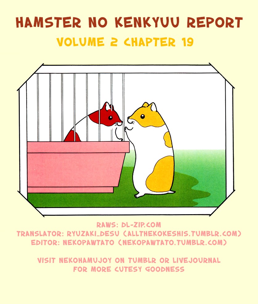 Hamster no Kenkyuu Report Chapter 19 page 17 - Chapter 19 : Report 24: A Moving Hamster's Story