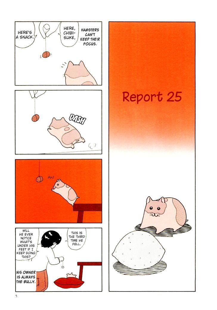 Hamster no Kenkyuu Report Chapter 21 page 9 - Chapter 21 : Report 25