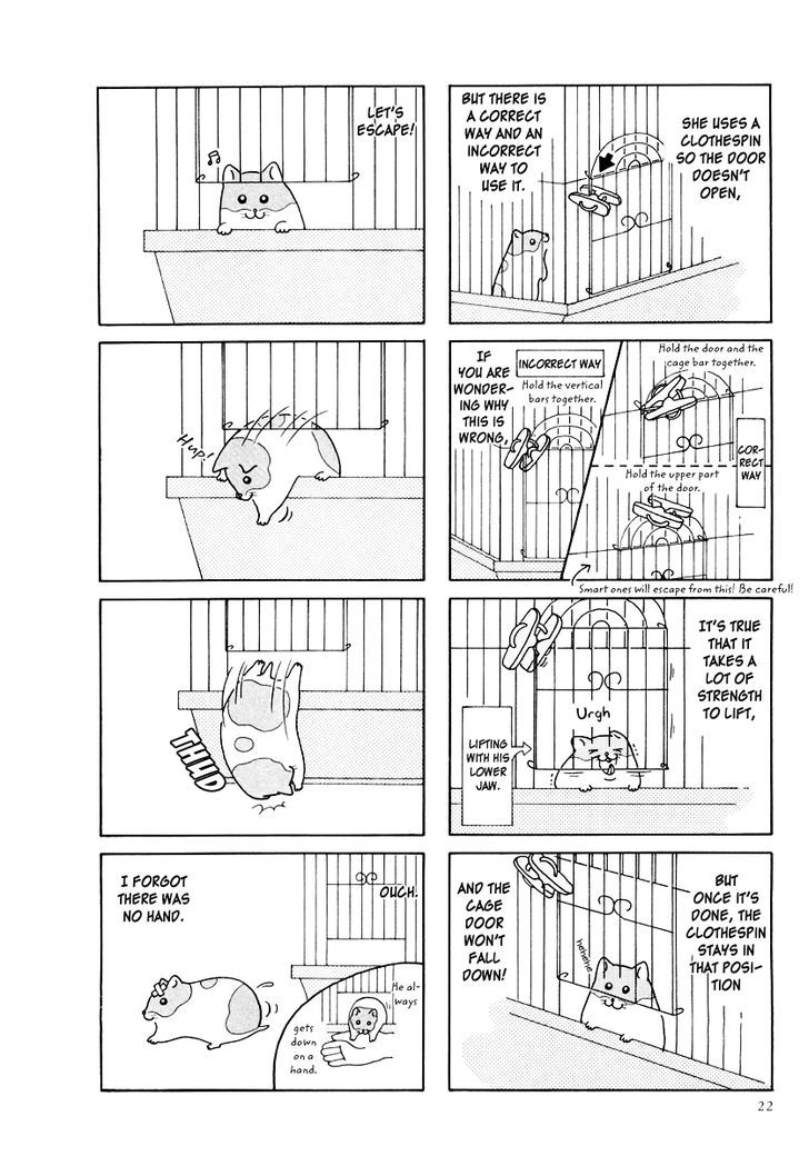 Hamster no Kenkyuu Report Chapter 23 page 2 - Chapter 23 : Chibisuke's Escapade