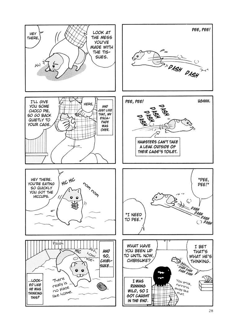 Hamster no Kenkyuu Report Chapter 23 page 8 - Chapter 23 : Chibisuke's Escapade