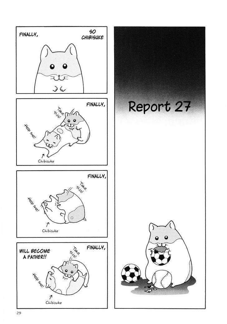 Hamster no Kenkyuu Report Chapter 24 page 1 - Chapter 24 : Report 27