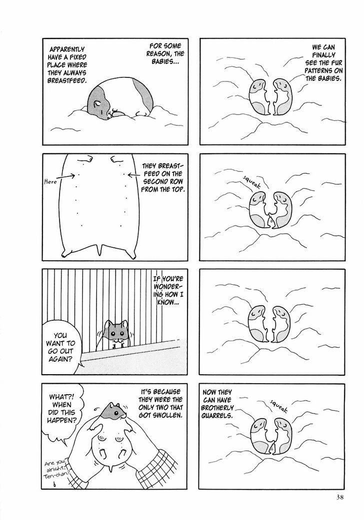 Hamster no Kenkyuu Report Chapter 24 page 10 - Chapter 24 : Report 27