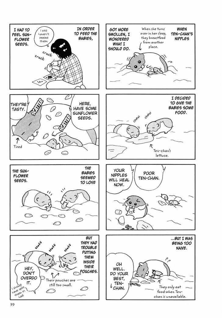 Hamster no Kenkyuu Report Chapter 24 page 11 - Chapter 24 : Report 27