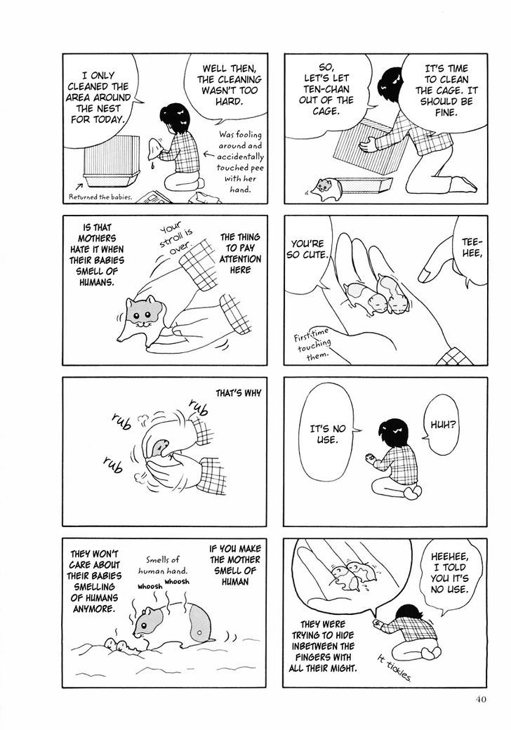 Hamster no Kenkyuu Report Chapter 24 page 12 - Chapter 24 : Report 27