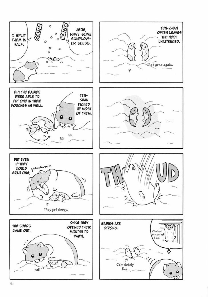 Hamster no Kenkyuu Report Chapter 24 page 13 - Chapter 24 : Report 27