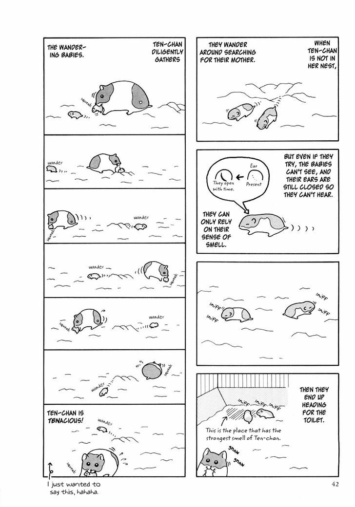 Hamster no Kenkyuu Report Chapter 24 page 14 - Chapter 24 : Report 27