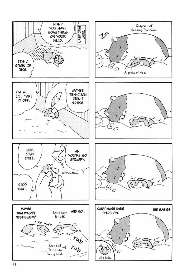 Hamster no Kenkyuu Report Chapter 24 page 15 - Chapter 24 : Report 27