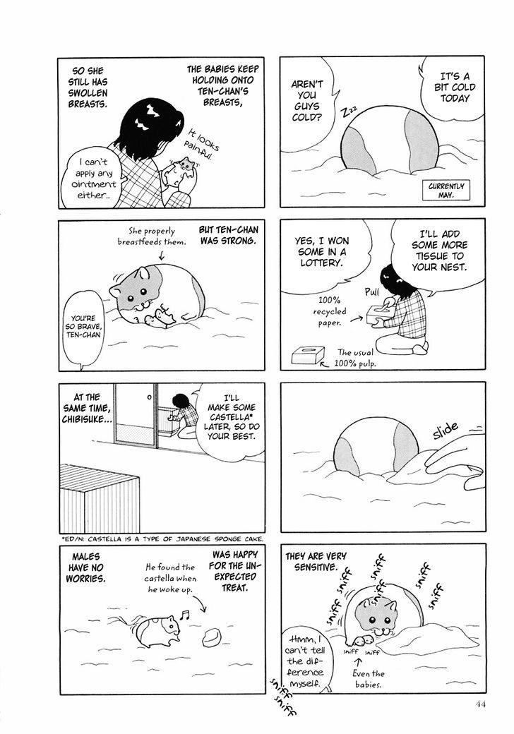 Hamster no Kenkyuu Report Chapter 24 page 16 - Chapter 24 : Report 27