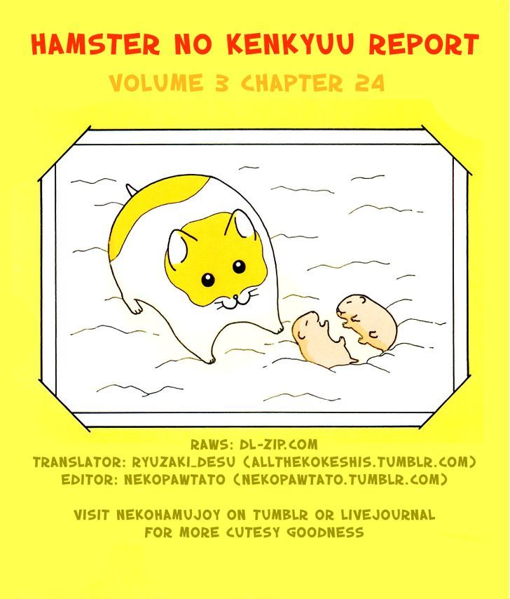 Hamster no Kenkyuu Report Chapter 24 page 17 - Chapter 24 : Report 27