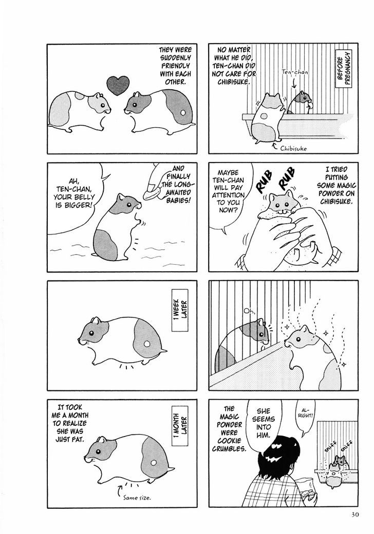 Hamster no Kenkyuu Report Chapter 24 page 2 - Chapter 24 : Report 27