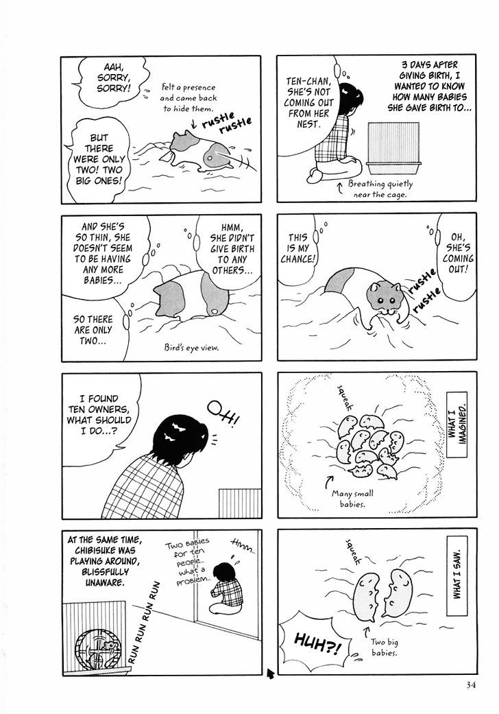 Hamster no Kenkyuu Report Chapter 24 page 6 - Chapter 24 : Report 27