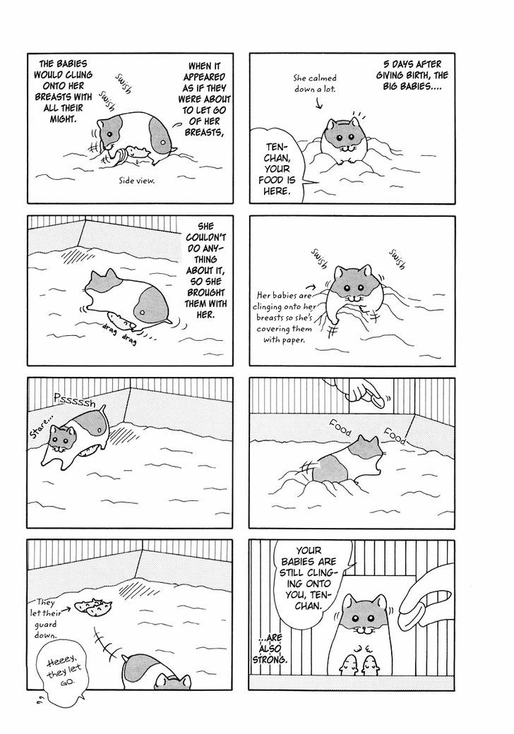 Hamster no Kenkyuu Report Chapter 24 page 7 - Chapter 24 : Report 27
