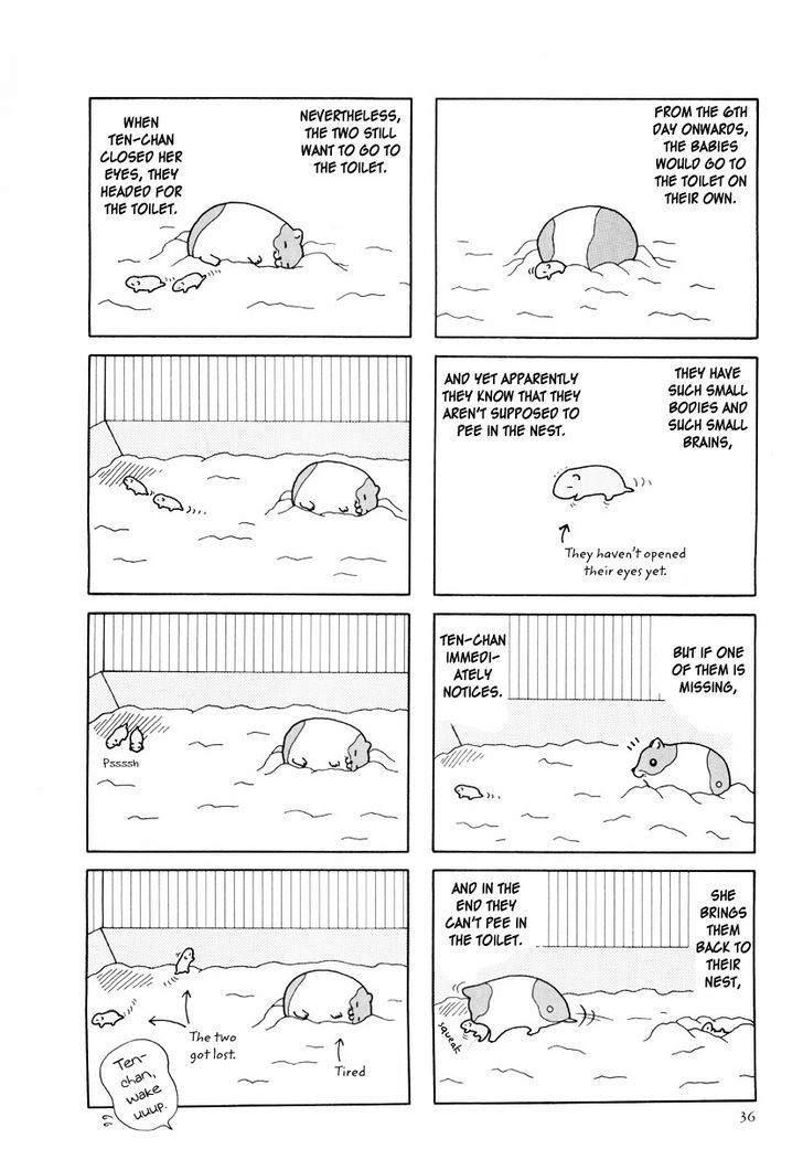 Hamster no Kenkyuu Report Chapter 24 page 8 - Chapter 24 : Report 27