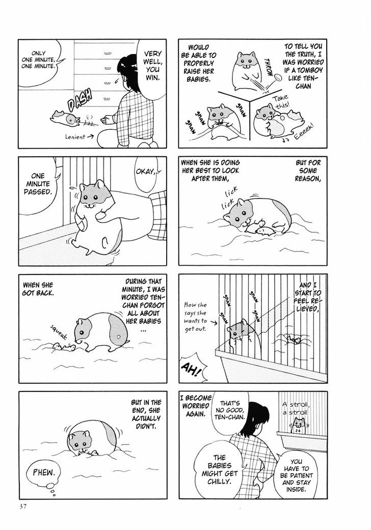 Hamster no Kenkyuu Report Chapter 24 page 9 - Chapter 24 : Report 27