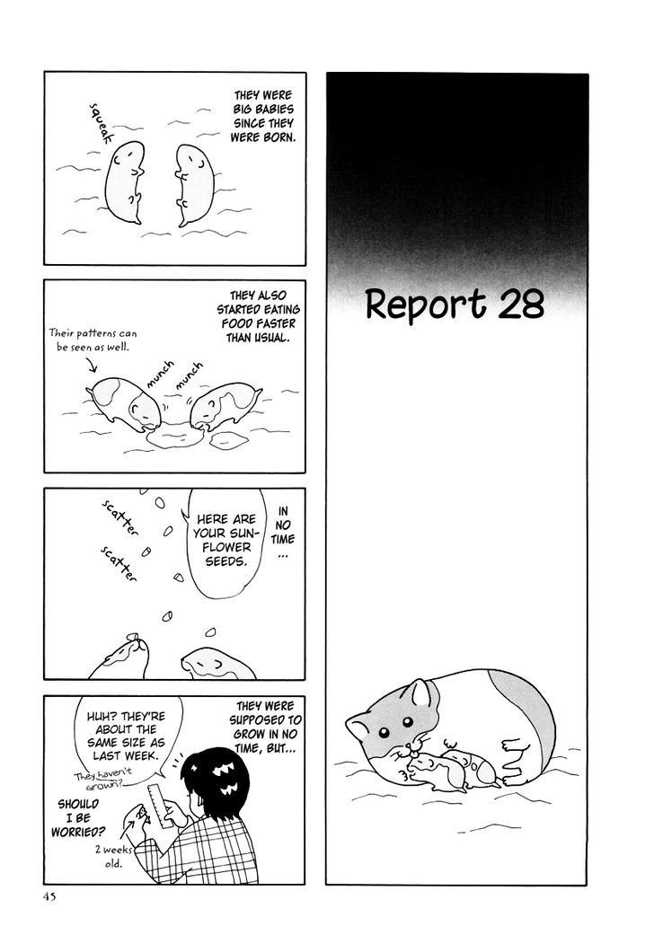 Hamster no Kenkyuu Report Chapter 25 page 1 - Chapter 25 : Report 28