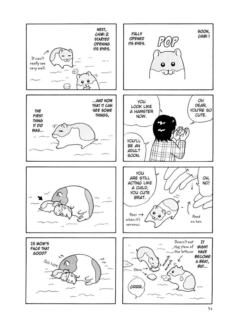 Hamster no Kenkyuu Report Chapter 25 page 10 - Chapter 25 : Report 28
