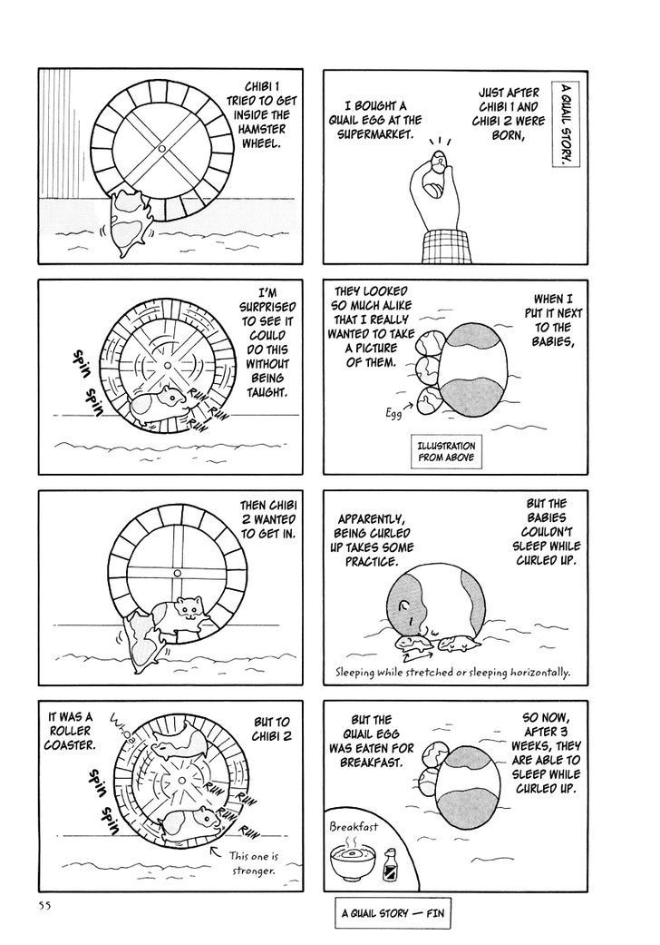 Hamster no Kenkyuu Report Chapter 25 page 11 - Chapter 25 : Report 28