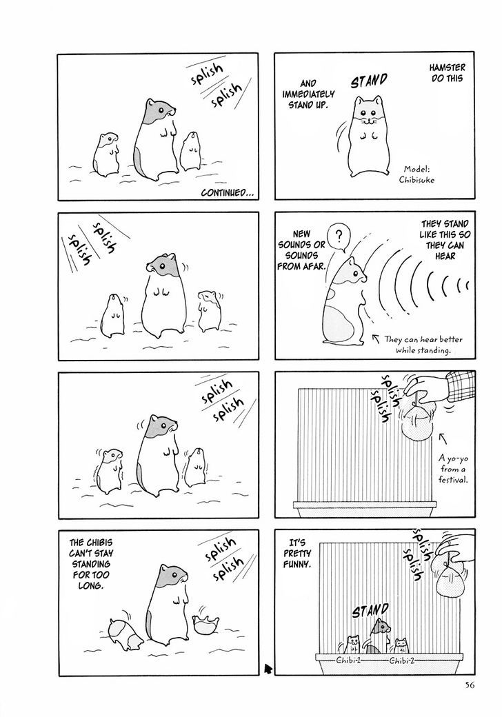 Hamster no Kenkyuu Report Chapter 25 page 12 - Chapter 25 : Report 28